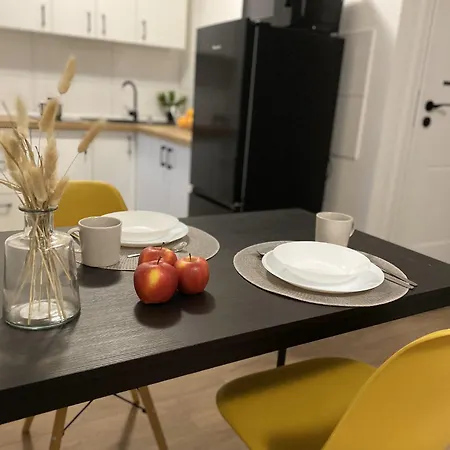 Apartment Goplanska Free Parking Self Check-in 24h Poznan