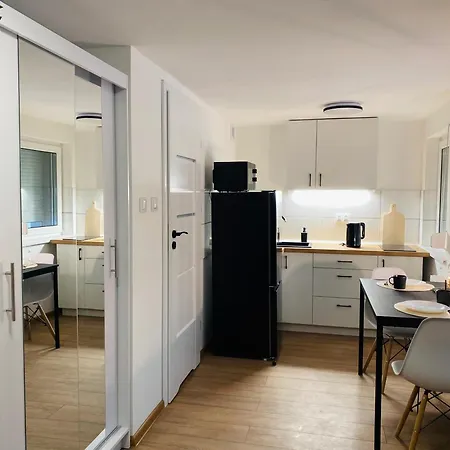 Goplanska Free Parking Self Check-in 24h Apartmán Poznaň