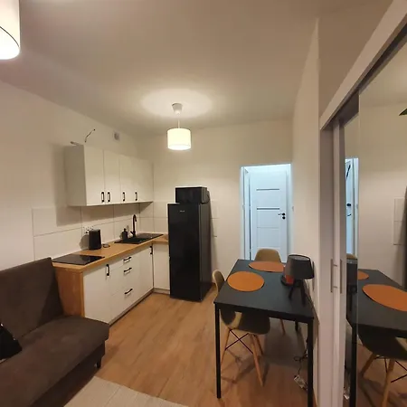 Apartmán Goplanska Free Parking Self Check-in 24h Poznaň