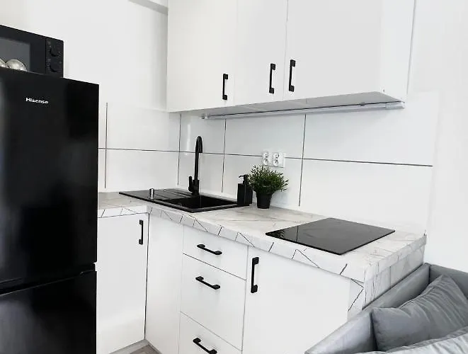 Goplańska Free Parking Self Check-in 24h Apartament Poznań