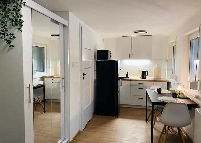 Goplańska Free Parking Self Check-in 24h Apartament Poznań