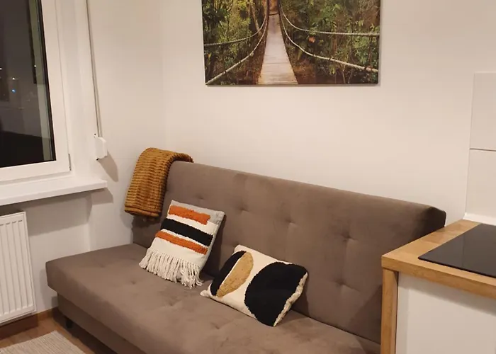 Goplanska Free Parking Self Check-in 24h Poznaň