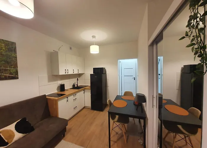 Apartmán Goplanska Free Parking Self Check-in 24h Poznaň